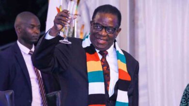 Mnangagwa, Boko push Zimbabwe–Botswana health trade and investment deals