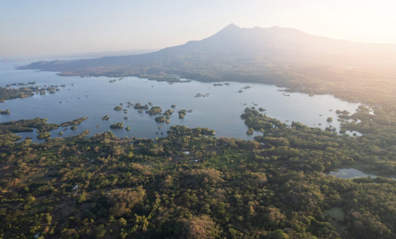 A Jungle Archipelago on the Edge of Granada