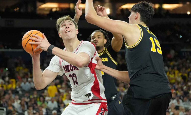 Motiejus Krivas returns to Arizona in 2026-27 despite NBA buzz