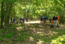 Remains of three young children found in Hickory Hill wooded area