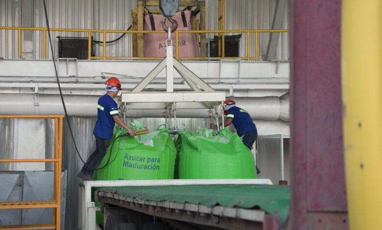 Junta Monetaria confirma crecimiento económico del 4.1% para 2026