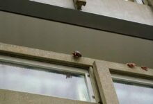 Past the Concrete: Do Ho Suh | Tate Modern