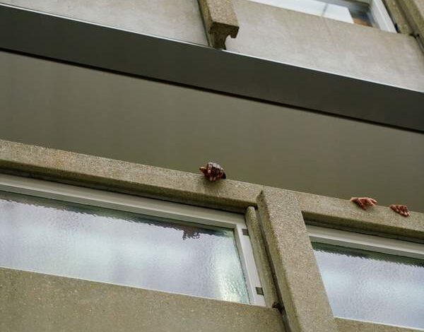 Past the Concrete: Do Ho Suh | Tate Modern