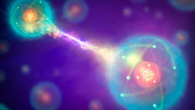 Entanglement in solids measured with neutrons for the first time