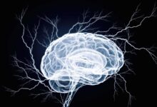 Prazosin targets brain’s cleaning system to ease migraine pain