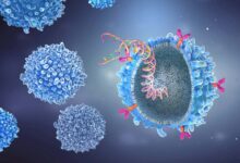 CAR T-cell therapy turns severe autoimmune illness “perfectly fine”