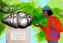 Foraminifera to lunar cheddar: Misryoum’s most niche science curiosities