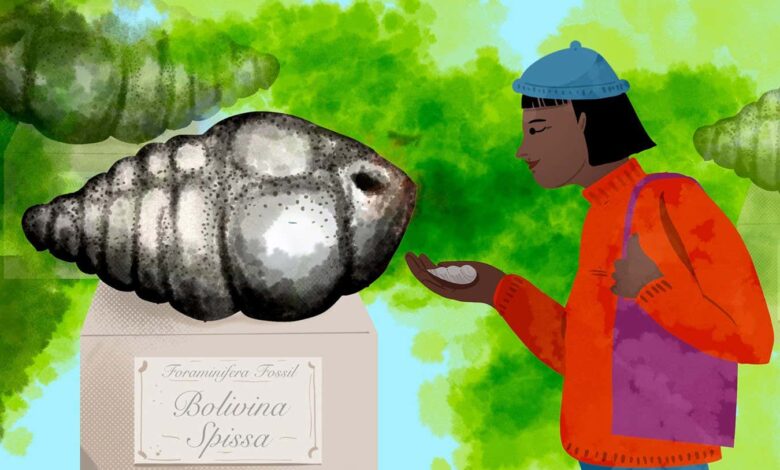 Foraminifera to lunar cheddar: Misryoum’s most niche science curiosities