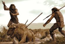 Early humans’ 200,000-year tool shift traced to vanishing big game