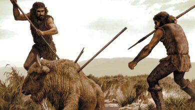 Early humans’ 200,000-year tool shift traced to vanishing big game