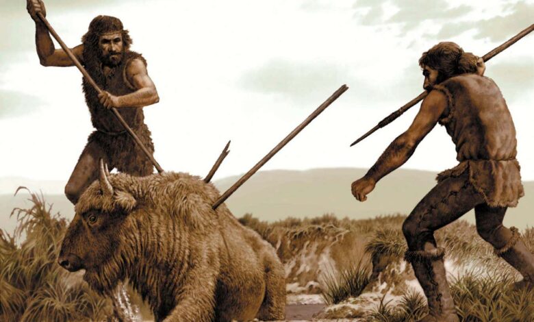 Early humans’ 200,000-year tool shift traced to vanishing big game