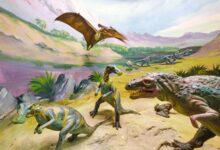 Dinosaurs’ real behavior was wilder—and less “pack-hunt” simple