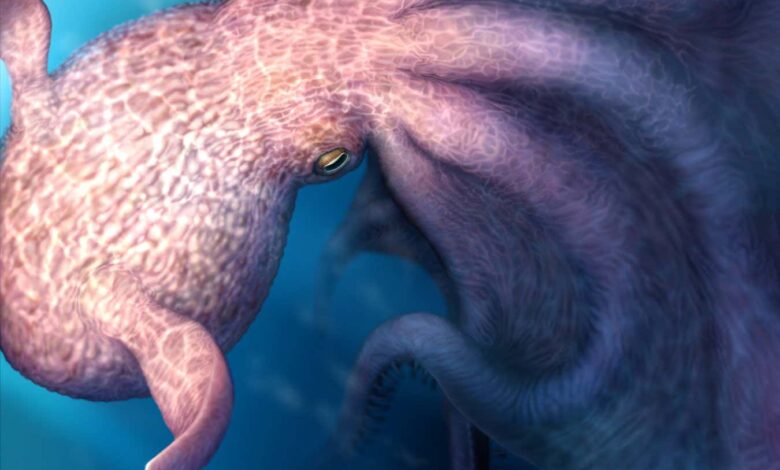 Largest-ever octopus may rival great whites of the Cretaceous
