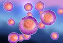 Partial reprogramming: stem cell therapy’s real rejuvenation test