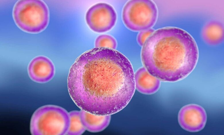 Partial reprogramming: stem cell therapy’s real rejuvenation test