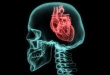 HRV: How Heart Rate Variability Can Reveal Stress and Mind Health