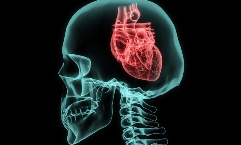 HRV: How Heart Rate Variability Can Reveal Stress and Mind Health
