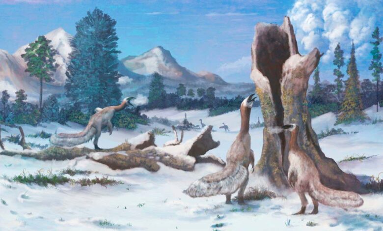 Giant Arctic continent may explain dinosaur rise during ancient ice age