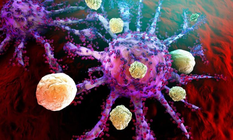 CAR T-Cells Offer Hope for Autoimmune Cures