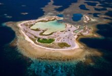 Heatwave-proof corals on Australia’s Houtman Abrolhos: the survival clue