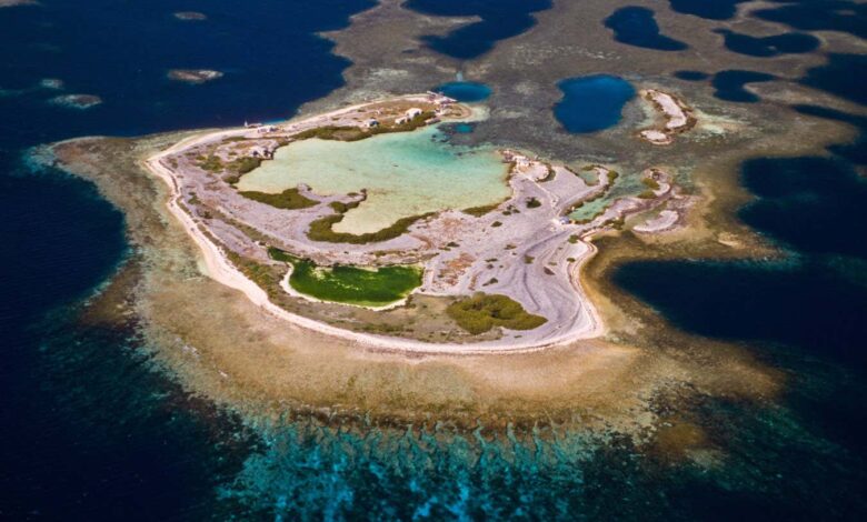 Heatwave-proof corals on Australia’s Houtman Abrolhos: the survival clue