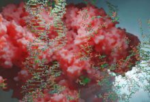 Magnetically switching genes: bold claim faces replication doubts