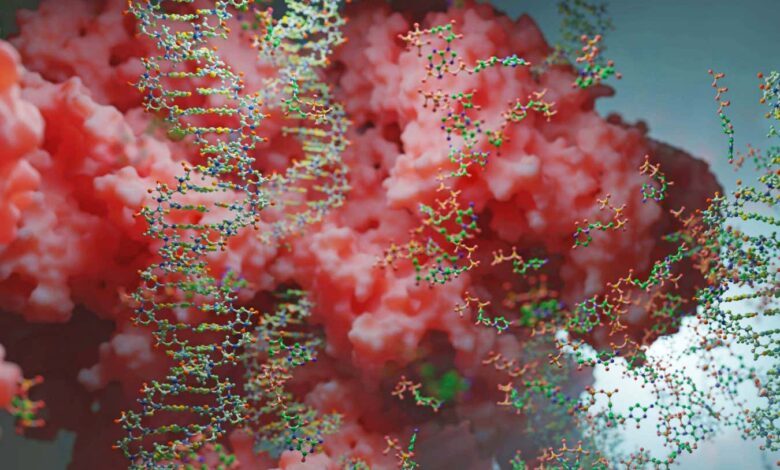 Magnetically switching genes: bold claim faces replication doubts