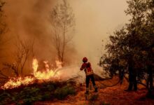 Extreme weather in 2025 drove record wildfire emissions in Europe