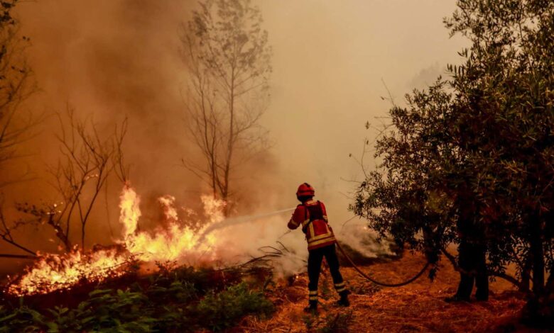 Extreme weather in 2025 drove record wildfire emissions in Europe