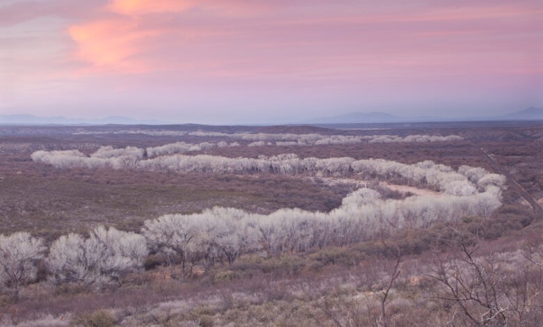 Appeals court declines to order state study of San Pedro River | Arizona Capitol Times
