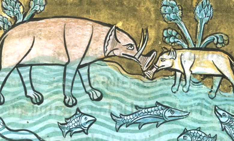 Medieval Manuscripts and Strange Animals: Why They Look Weird