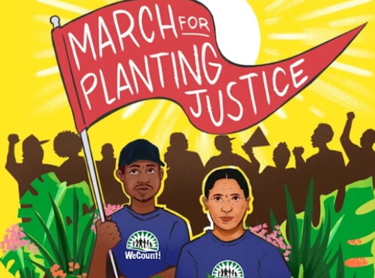 Plant nursery workers march in Coral Gables over wages, heat