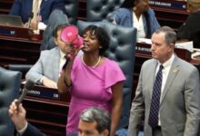 Florida Democrats Protest DeSantis Map Vote With Bullhorn