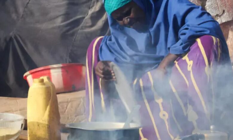 Somalia’s malnutrition crisis deepens as global supply chains buckle