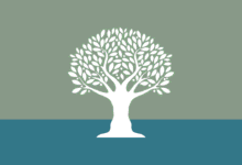 7 Teaching Practices that Nurture Student Voice