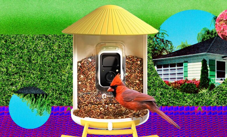 Smart Bird Feeders Turn Your Yard Into a Mini Nature Show