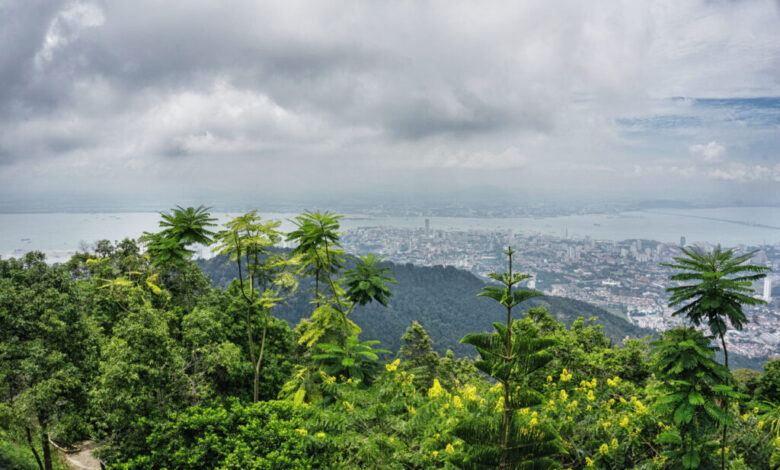 Penang Travel Guide: Beyond George Town’s Buzz