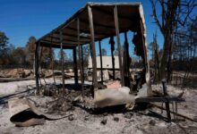 Georgia wildfire crisis shows East Coast fire risk is rising