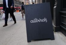 Allbirds turns to AI cloud as stock jumps 600% — NewBird AI