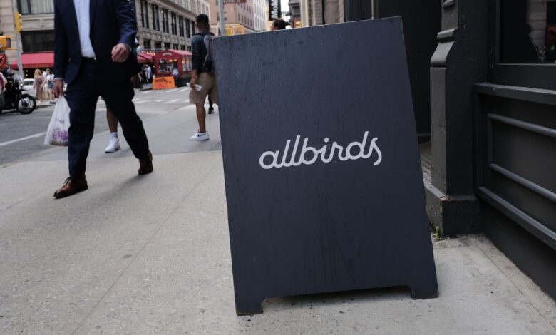 Allbirds turns to AI cloud as stock jumps 600% — NewBird AI