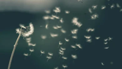 Hidegfront csap le: jelentős fordulatot hoz az időjárás hét elején