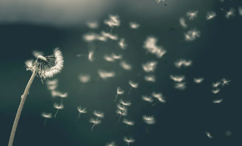 Hidegfront csap le: jelentős fordulatot hoz az időjárás hét elején