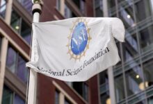 Trump administration fires NSF science board members—what it means for U.S. research