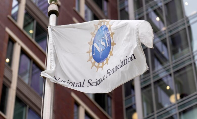 Trump administration fires NSF science board members—what it means for U.S. research