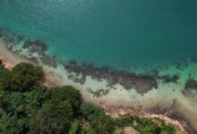 Sea levels may be higher than thought—study points to a coastal baseline error