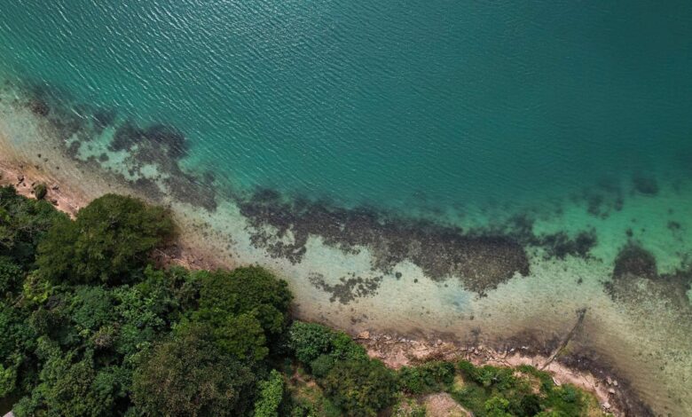 Sea levels may be higher than thought—study points to a coastal baseline error