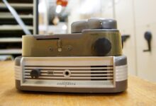 1949 whale song recovered in Bermuda could rewrite ocean sound history