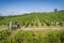 Auvergne-Rhône-Alpes gourmand: food, wine & heritage