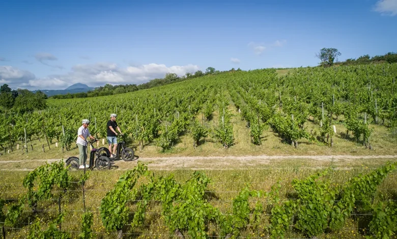 Auvergne-Rhône-Alpes gourmand: food, wine & heritage