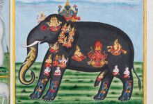 Gajaśāstra Manuscript: Indigenous and Colonial Knowledge Clash